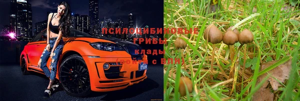 мескалин Алексин