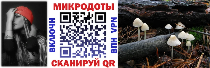 Галлюциногенные грибы прущие грибы  Чкаловск 